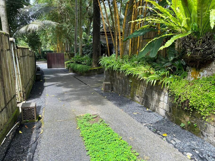 Boho Bellissimo Villa Ubud  Ngoại thất bức ảnh
