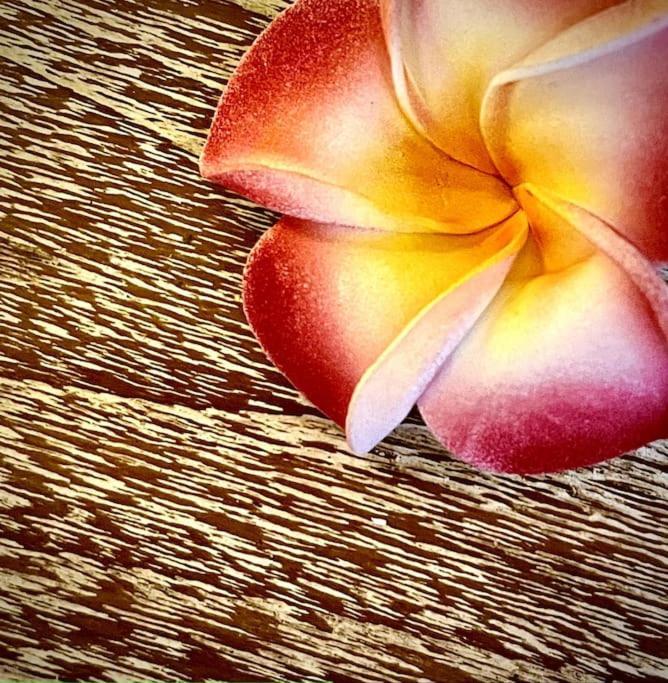 Boho Bellissimo Villa Ubud  Ngoại thất bức ảnh